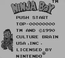 Image n° 1 - screenshots  : Ninja Boy